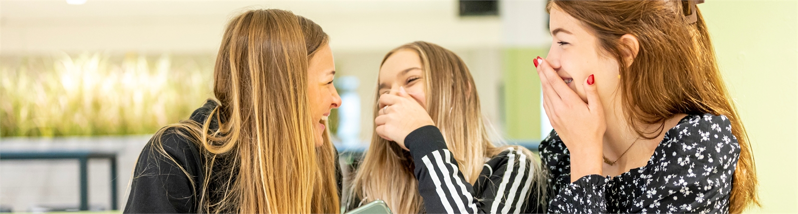 Christelijke Scholengemeenschap Groningen