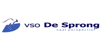 VSO De Sprong