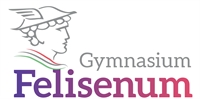 Gymnasium Felisenum